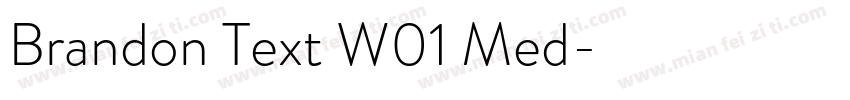 Brandon Text W01 Med字体转换